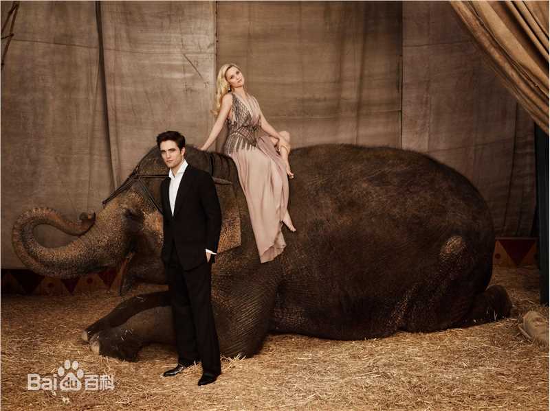 高清瑞茜·威瑟斯彭(Reese Witherspoon)精彩图册