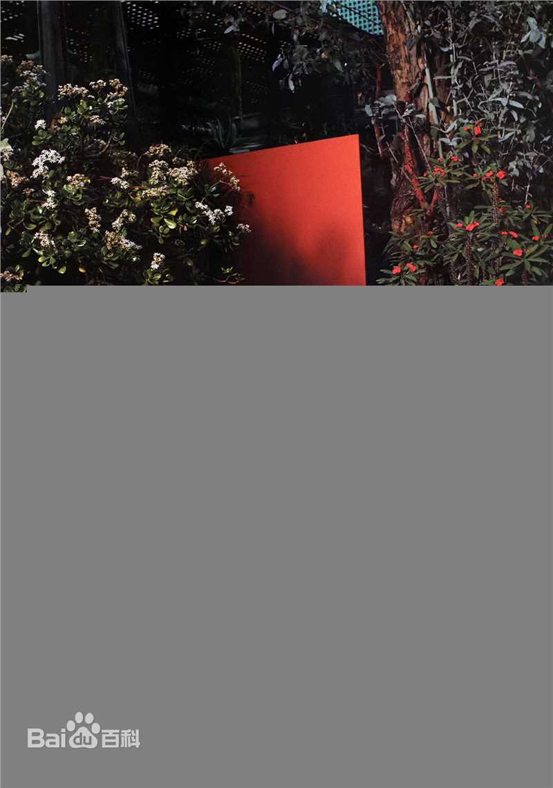 最新瑞茜·威瑟斯彭(Reese Witherspoon)精彩图册