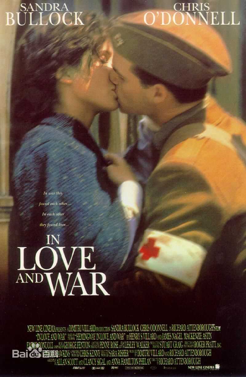 最新桑德拉·布洛克(Sandra Bullock、Sandra Annette Bullock)壁纸