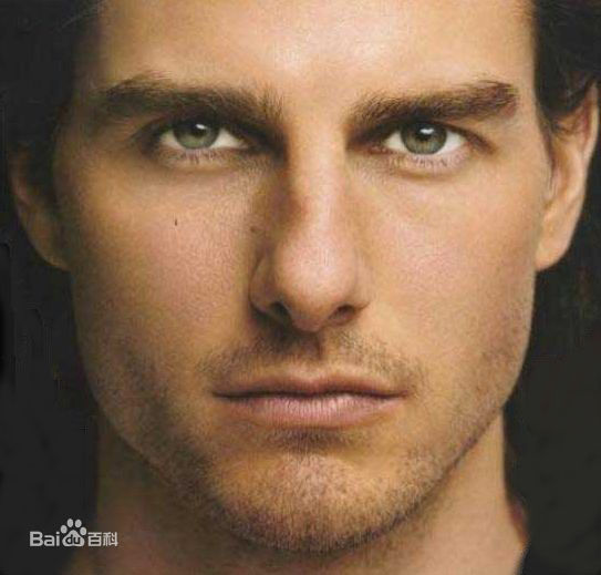 最优质汤姆·克鲁斯(Tom Cruise、Thomas Cruise Mapother IV)精彩图册