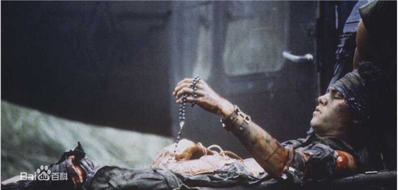 查理·辛(Charlie Sheen)《野战排》最全剧照