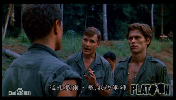 查理·辛(Charlie Sheen)《野战排》最全剧照