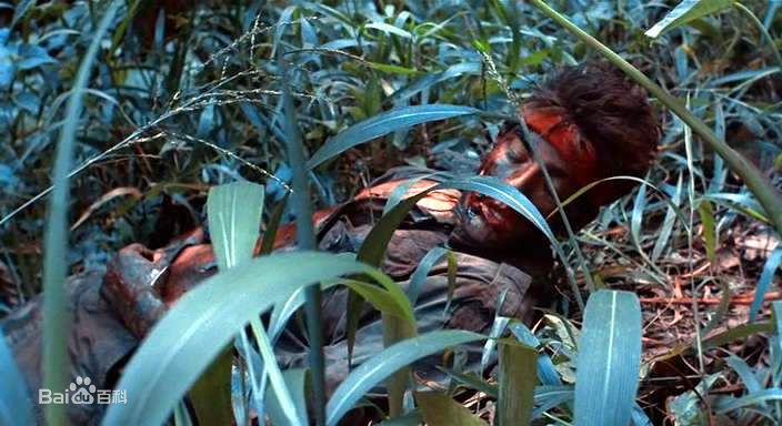 查理·辛(Charlie Sheen)《野战排》最全剧照