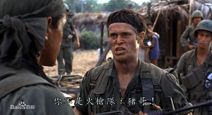 查理·辛(Charlie Sheen)《野战排》最全剧照