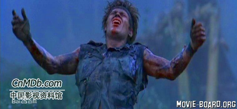 查理·辛(Charlie Sheen)《野战排》最全剧照