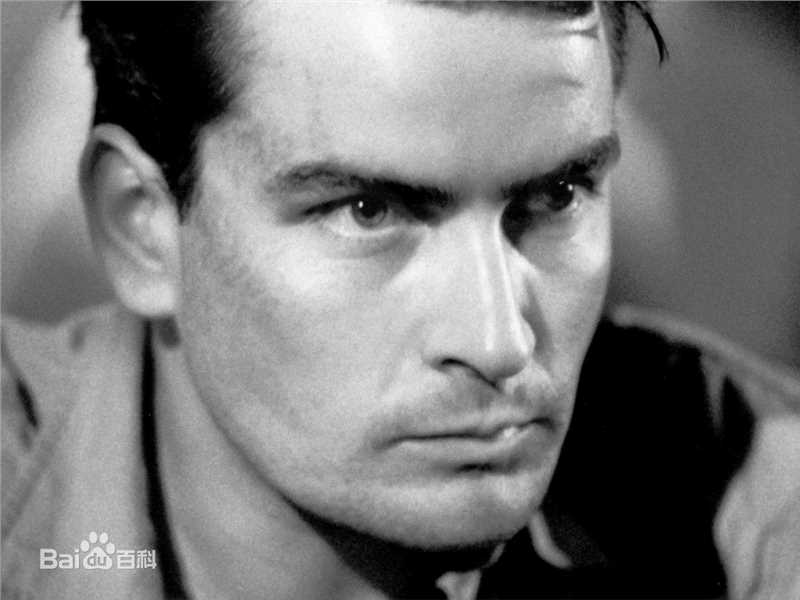 最全查理·辛(Charlie Sheen)精彩图册