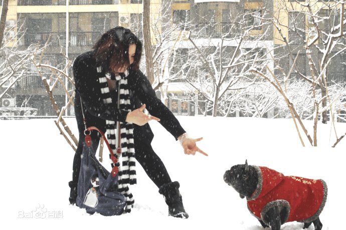 王澜演员性感图片壁纸