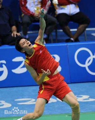 鲍春来(Bao Chunlai)2008年北京奥运会前后照片