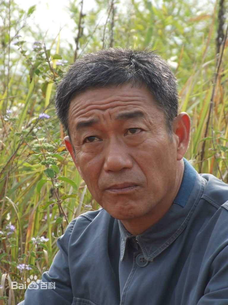 最新李心敏壁纸