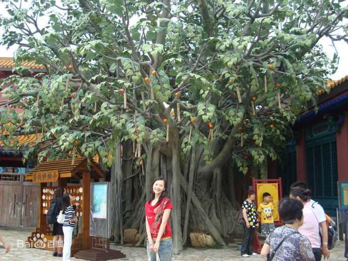 曲栅栅(QuShanshan)生活照性感图片图集