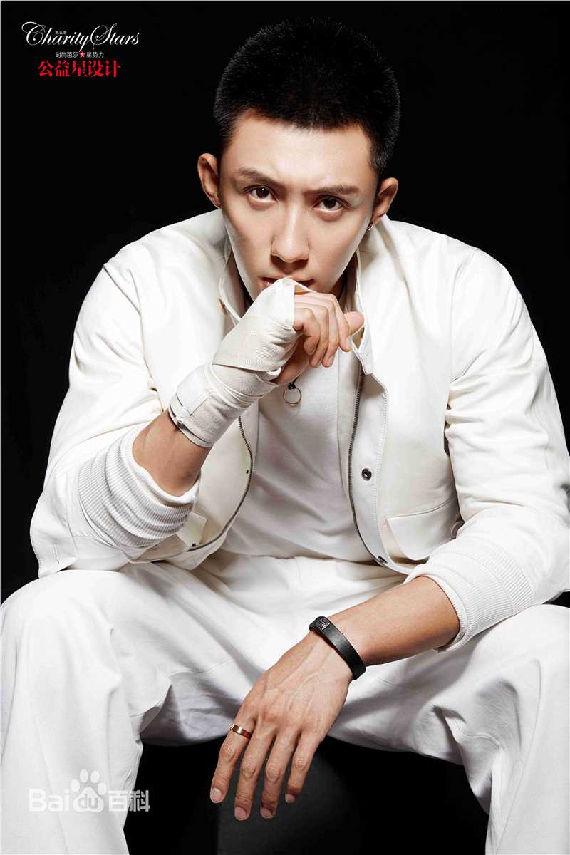 黄景瑜(Johnny)芭莎公益星设计图片图集