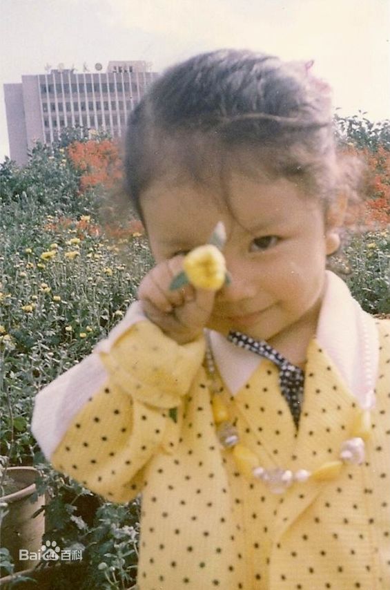 李霄云(Michelle Li)成长照性感图片图集