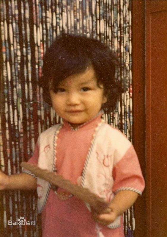 李霄云(Michelle Li)成长照性感图片图集