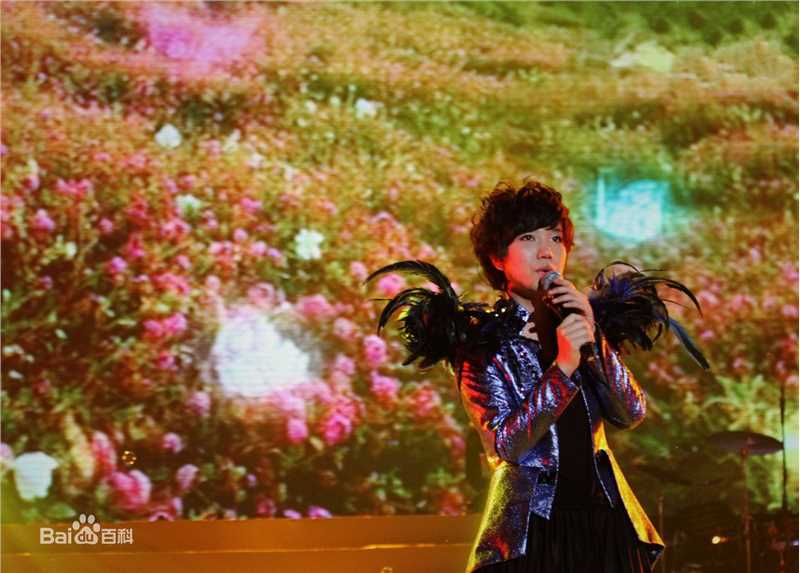 李霄云(Michelle Li)演唱会前后照片