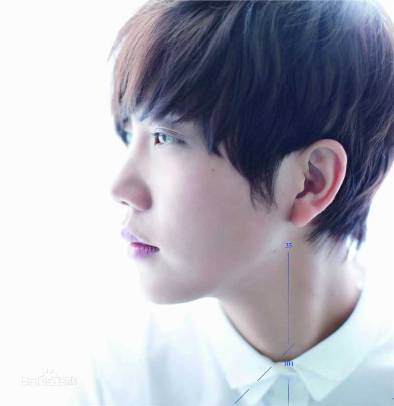 最优质李霄云(Michelle Li)生活照