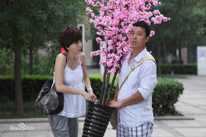 蔡鹭最优质剧照