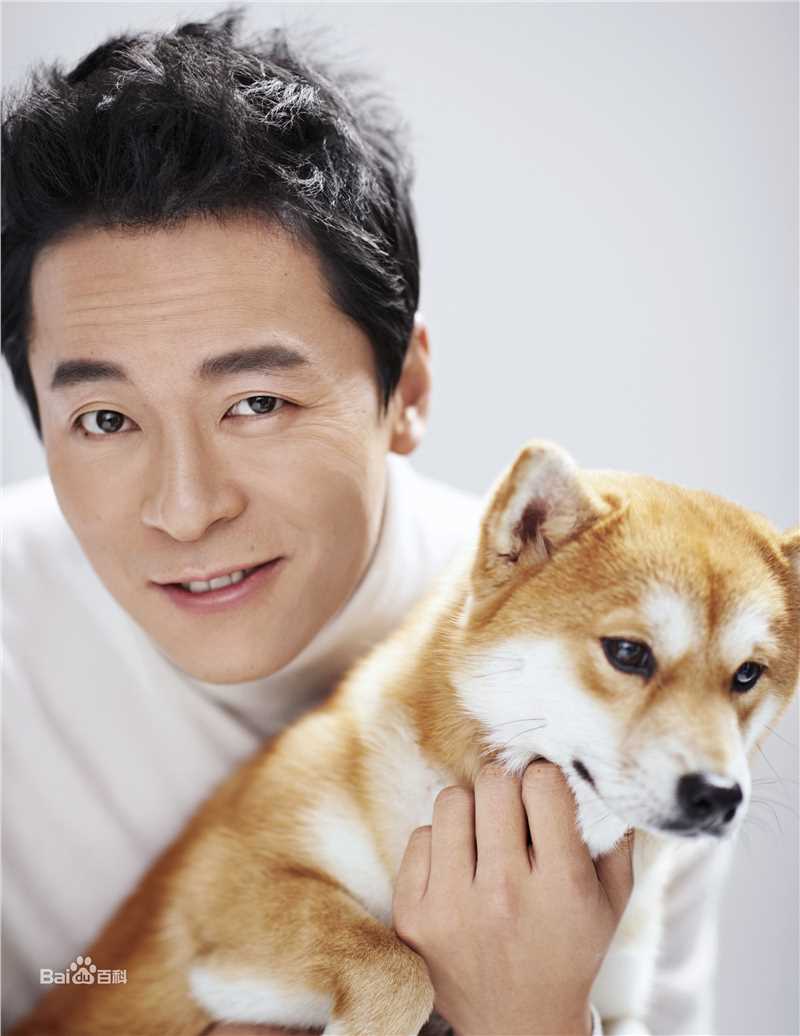 蔡鹭最全2016年壁纸