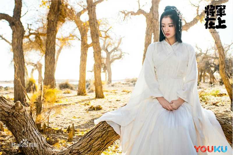 王楚然将军在上 最全剧照