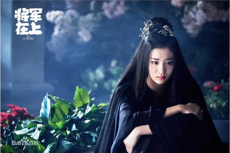 王楚然将军在上 最全剧照