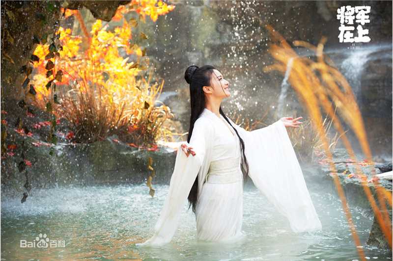 王楚然将军在上 最全剧照