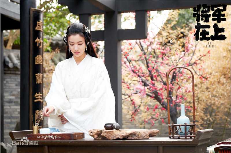 王楚然将军在上 最全剧照