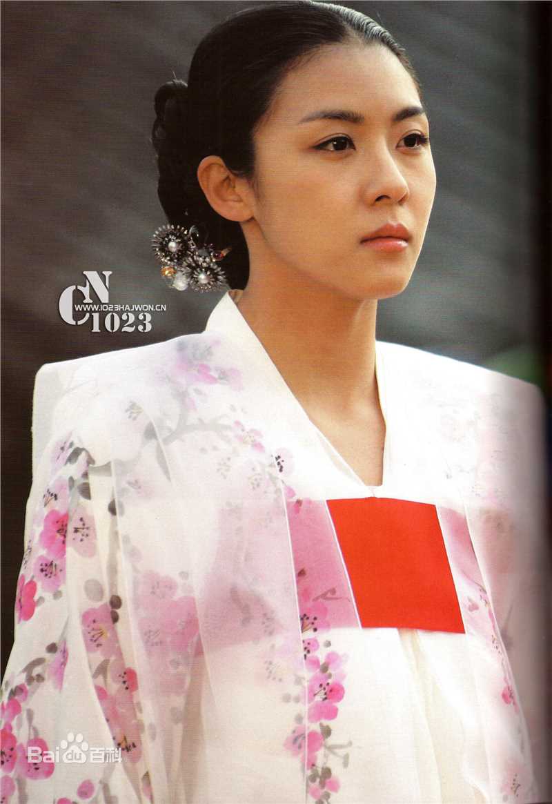 河智苑(HaJi Won)电视剧作品图册