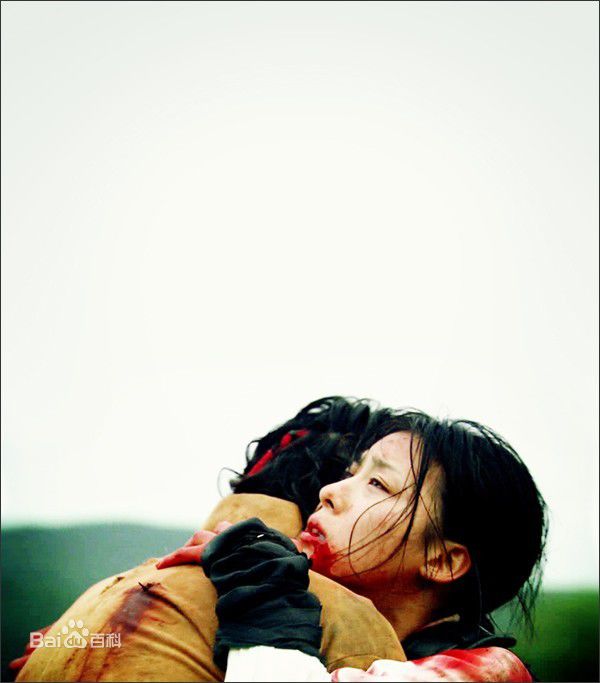 河智苑(HaJi Won)电视剧作品图册