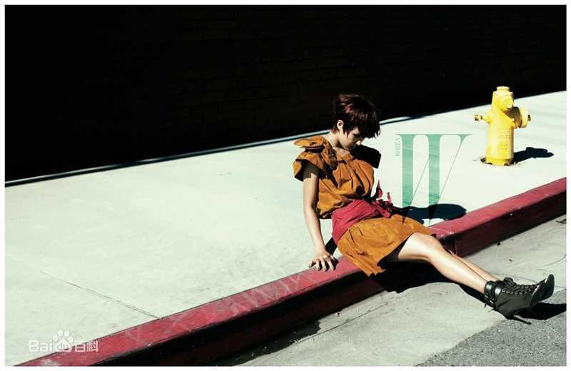 最全河智苑(HaJi Won)精彩图册