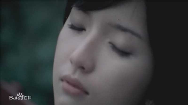 陈匡怡(Andrea Chen)出演音乐录影带图片图册