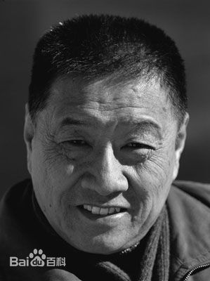 高清丁荫楠图片