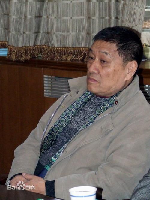 精选丁荫楠精彩图册