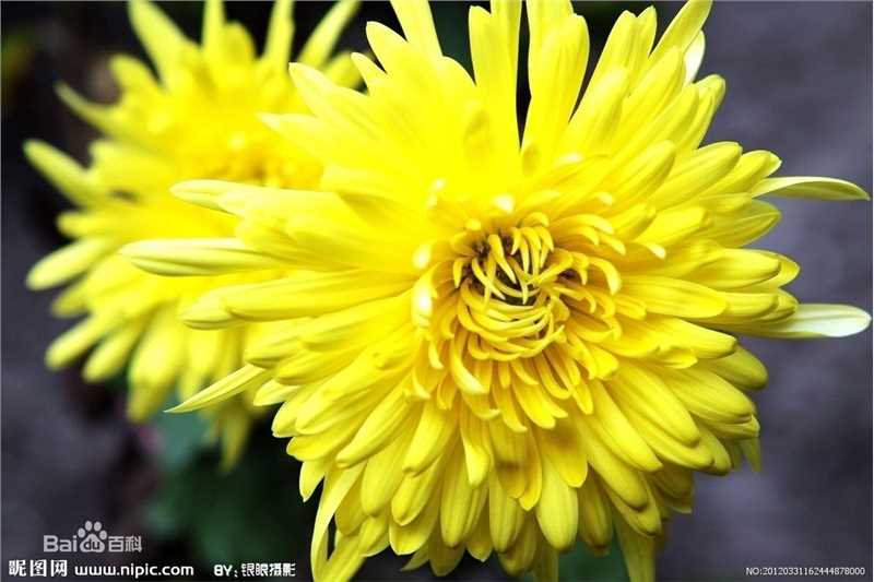 萧大陆(Louis Hsiao)前后照片