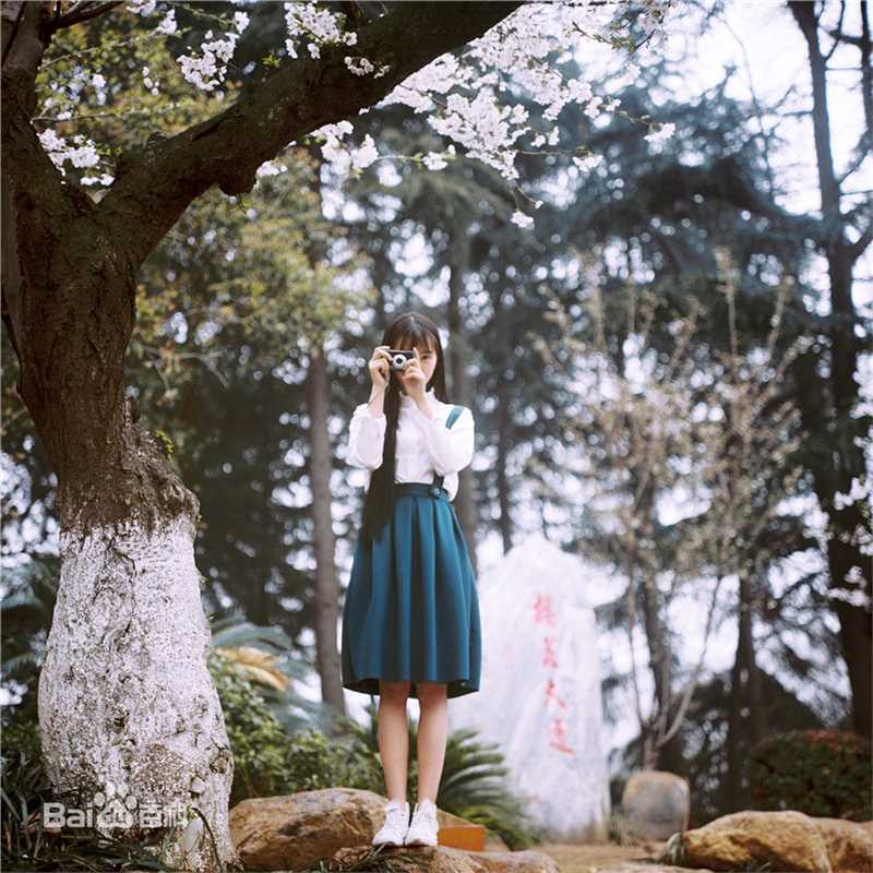 黄灿灿精选，靓丽图册