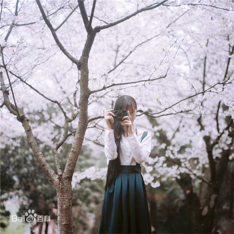 黄灿灿精选，靓丽图册