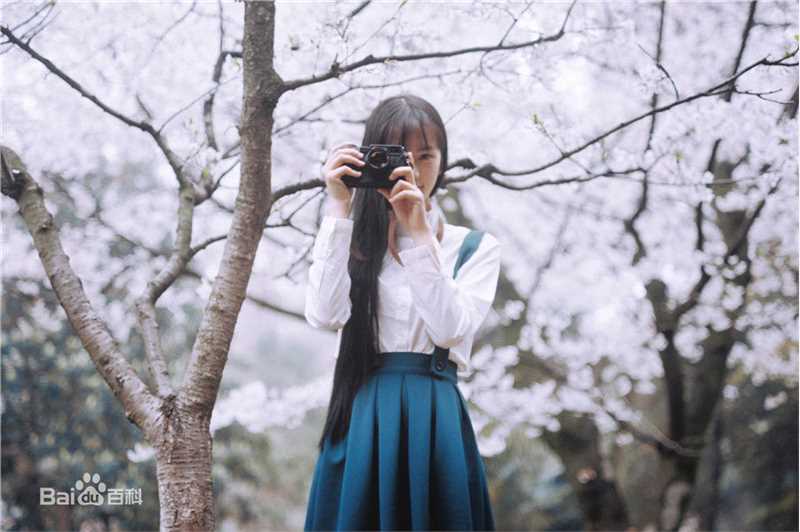 黄灿灿精选，靓丽图册