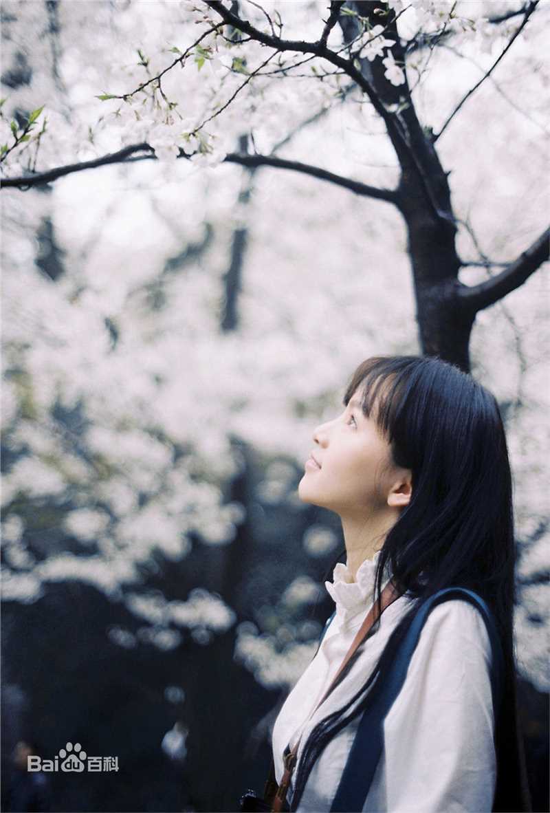 黄灿灿精选，靓丽图册