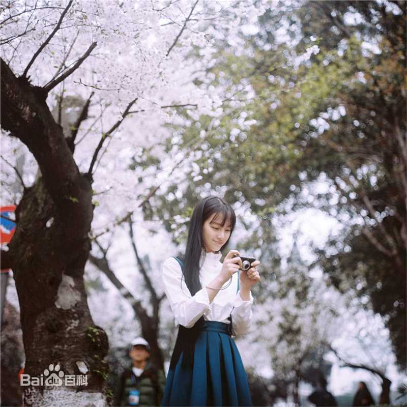 黄灿灿精选，靓丽图册