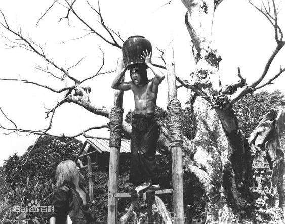 最全佟林(Lin Tung)壁纸