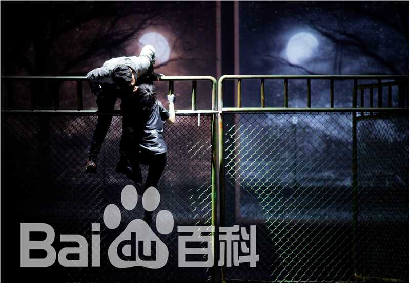 田沁鑫作品图册