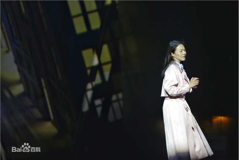 田沁鑫作品图册