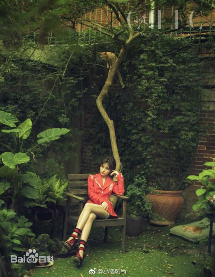 鞠婧祎(kiku)最优质森系相册