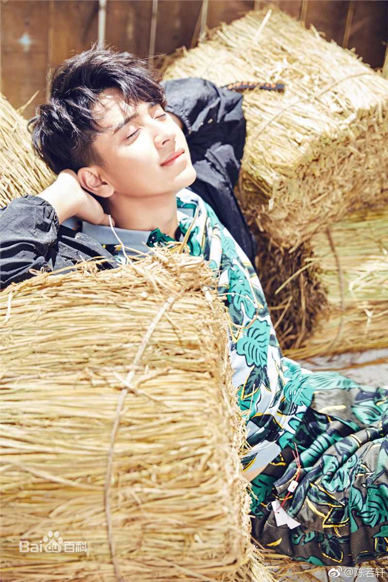 陈若轩高清图集