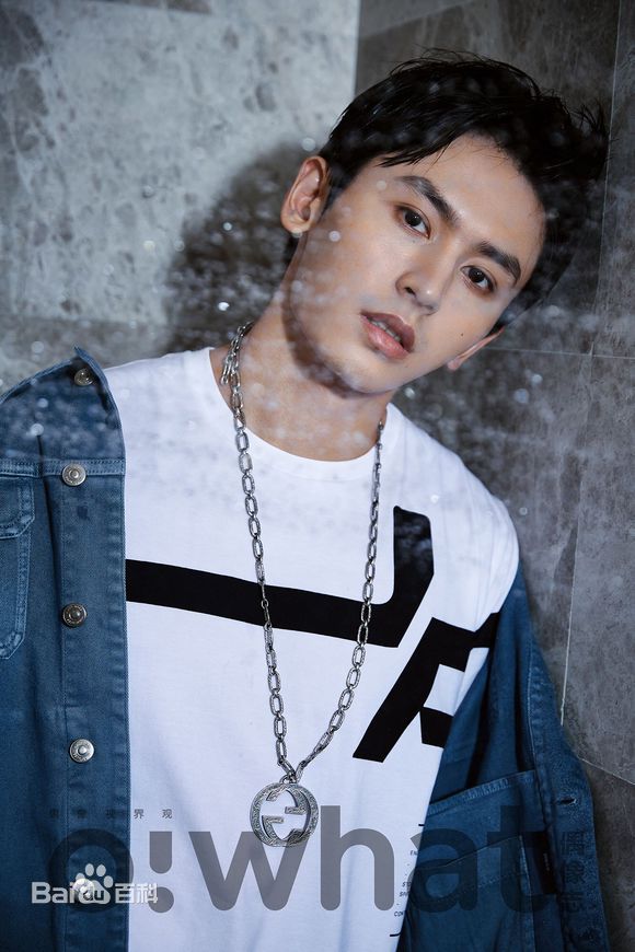 张哲瀚偶像志素颜照相册