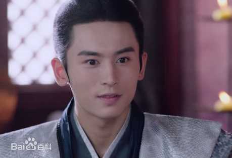 张哲瀚在《芸汐传》龙非夜中的