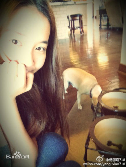 杨丽晓照壁纸壁纸