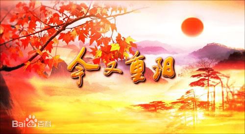 最新张妍(Zhang Yan)壁纸