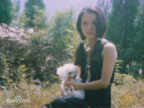 谢兰影视作品中的性感图片图集