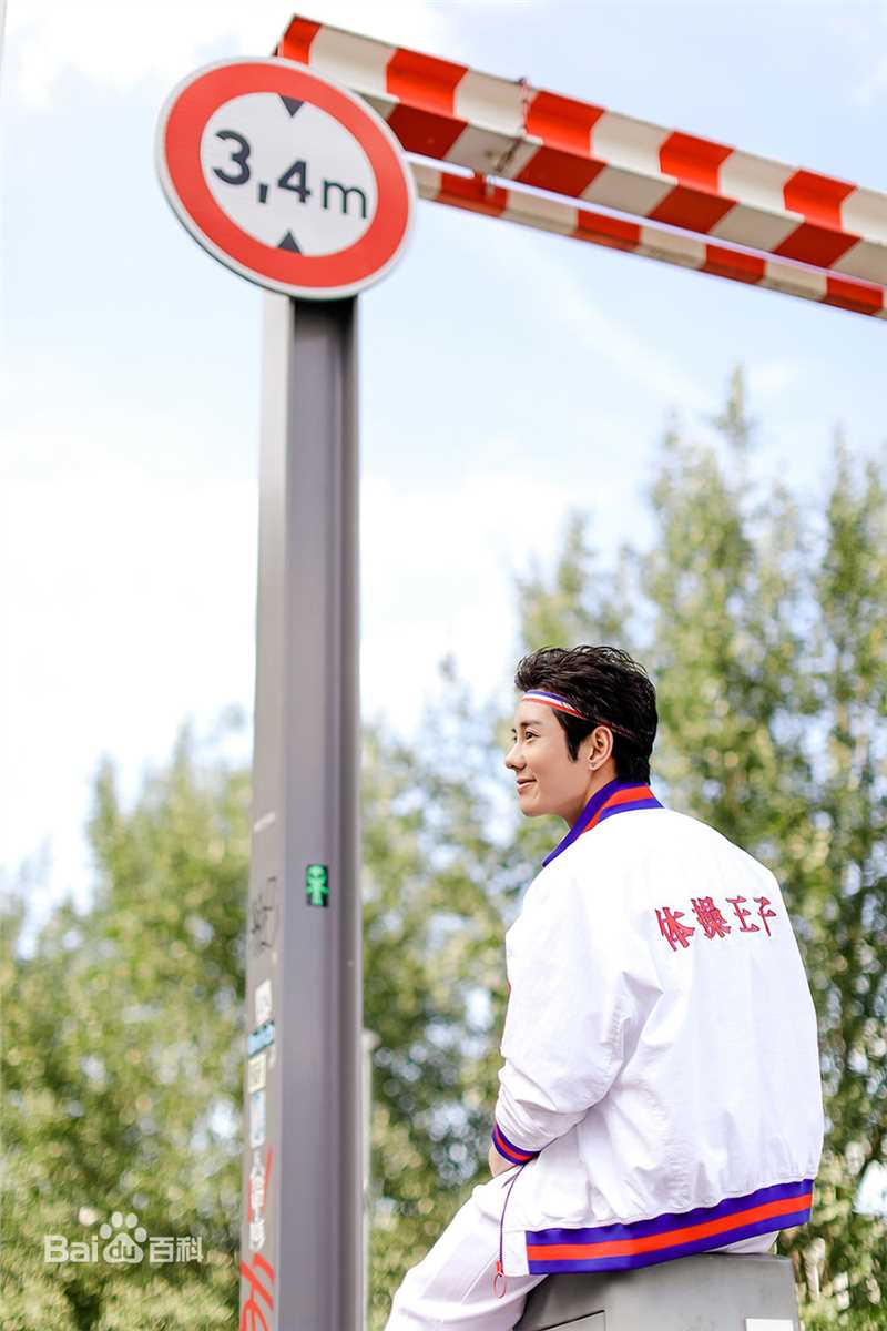 蓝博Li-Ning巴黎时装周素颜照壁纸