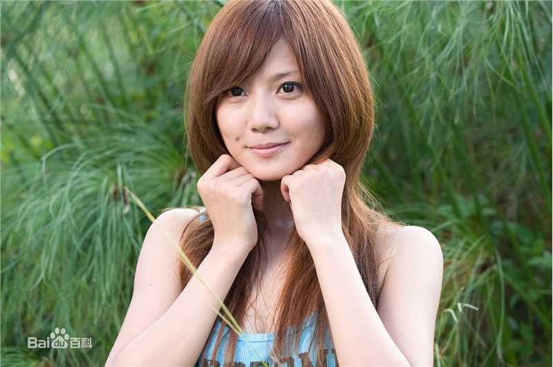 蔡黄汝(Mini)精选艺术图册