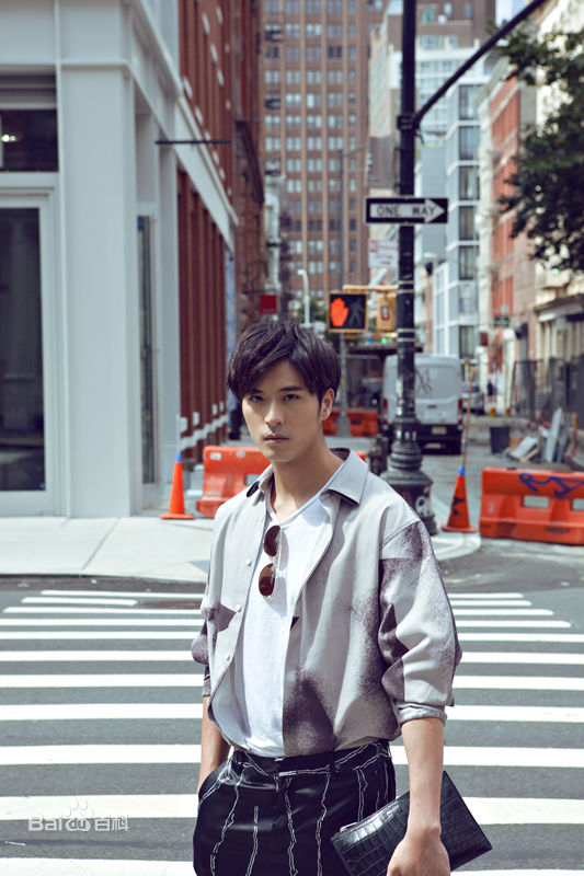 徐开骋(Xu Kaicheng)街拍大片性感图片图集